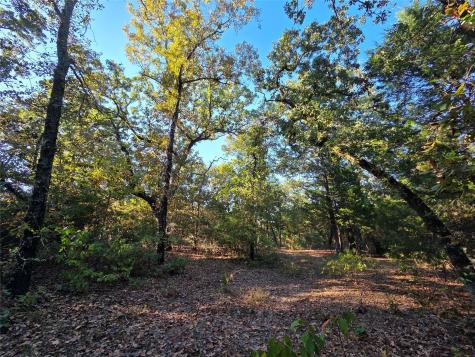Lot 466 Cr-4710 Larue TX 75770