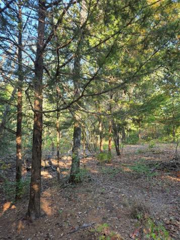 Lot 466 Cr-4710 Larue TX 75770