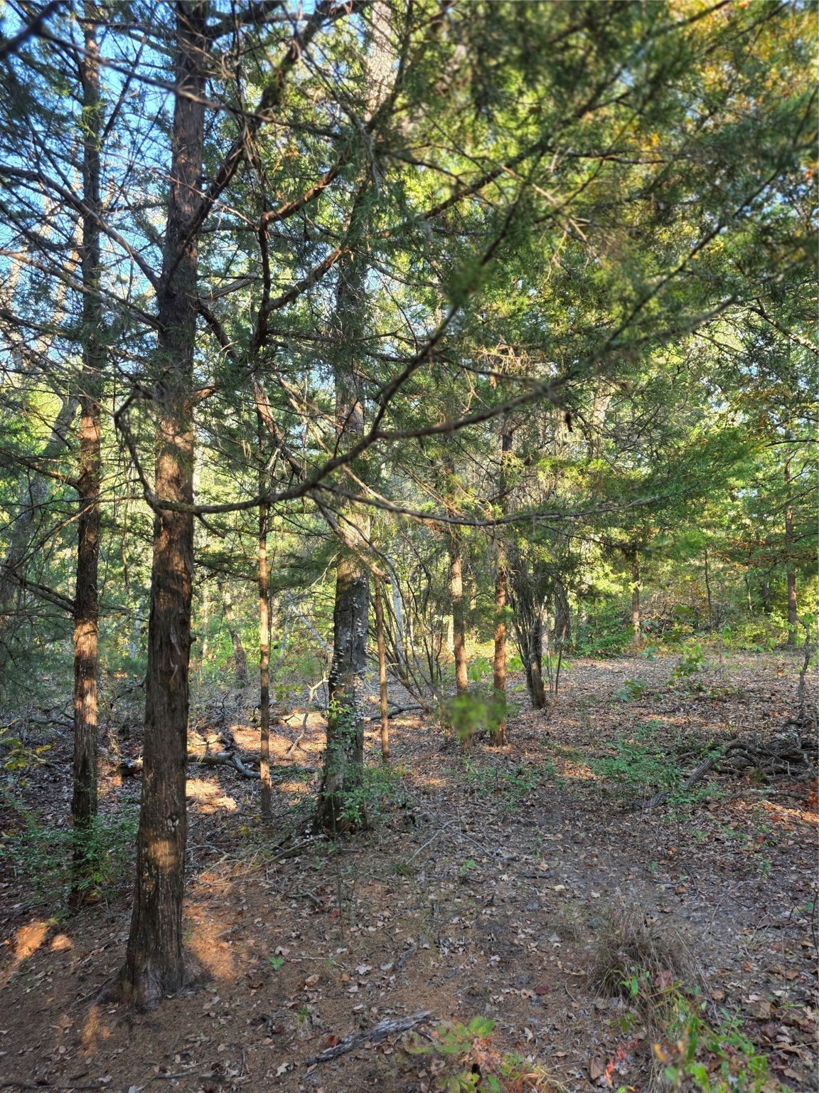 Lot 466 Cr-4710 Larue TX 75770
