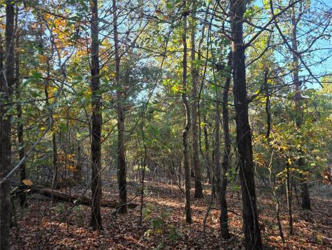 Lot 466 Cr-4710 Larue TX 75770