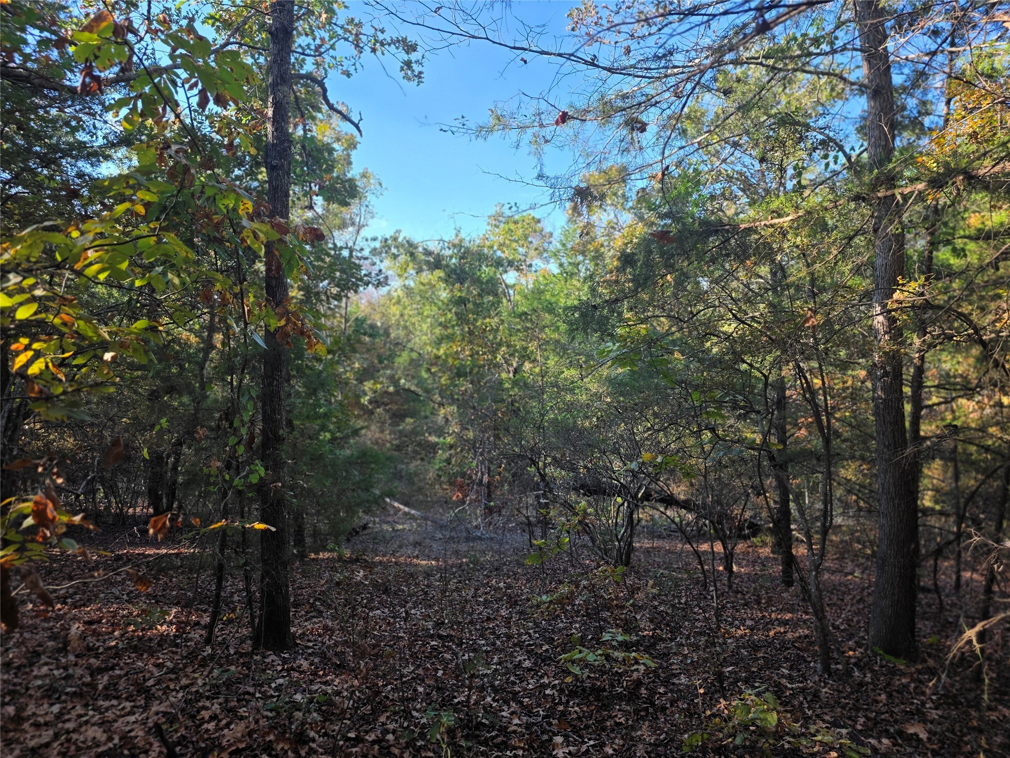 Lot 466 Cr-4710 Larue TX 75770