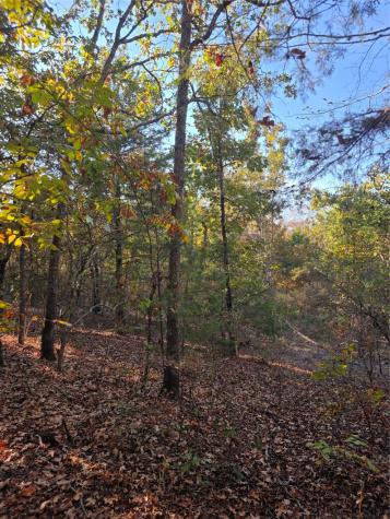Lot 466 Cr-4710 Larue TX 75770