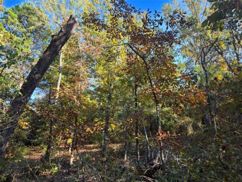Lot 466 Cr-4710 Larue TX 75770