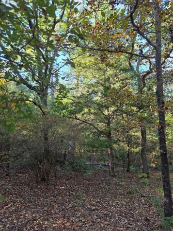Lot 466 Cr-4710 Larue TX 75770