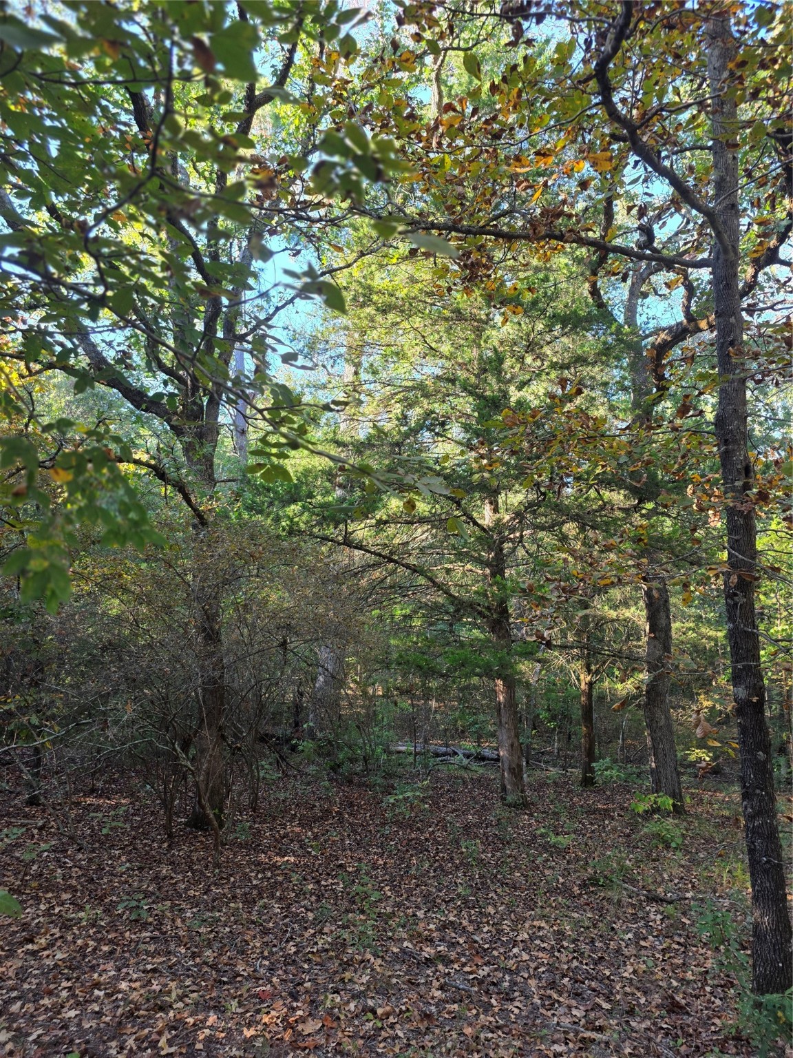 Lot 466 Cr-4710 Larue TX 75770