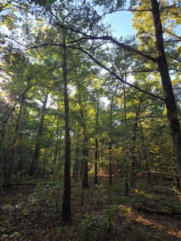 Lot 466 Cr-4710 Larue TX 75770
