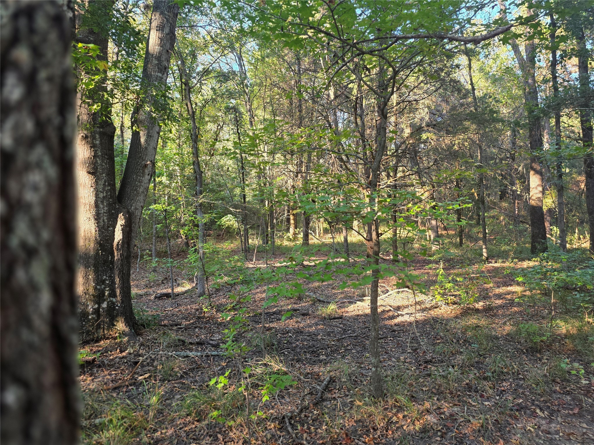 Lot 466 Cr-4710 Larue TX 75770