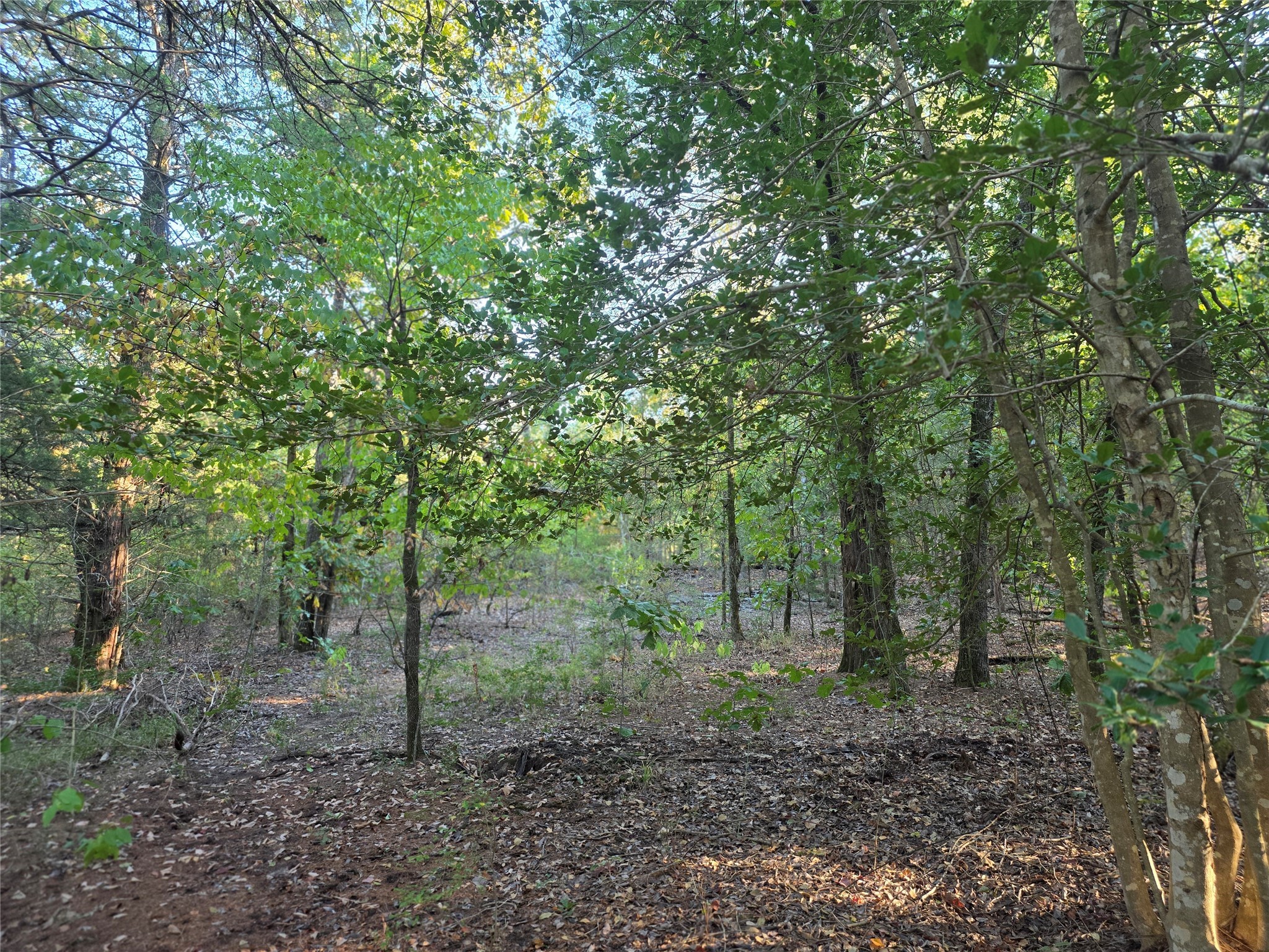 Lot 466 Cr-4710 Larue TX 75770