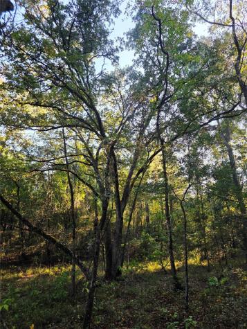 Lot 466 Cr-4710 Larue TX 75770