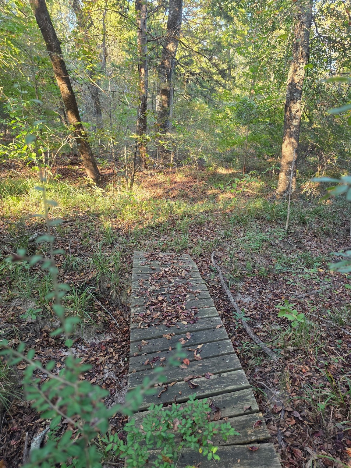 Lot 466 Cr-4710 Larue TX 75770