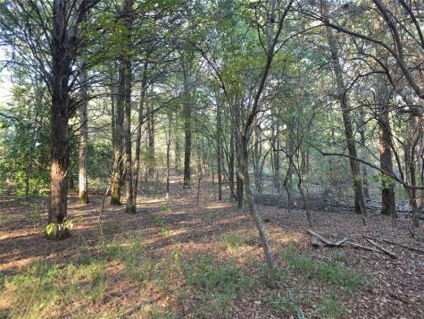 Lot 466 Cr-4710 Larue TX 75770