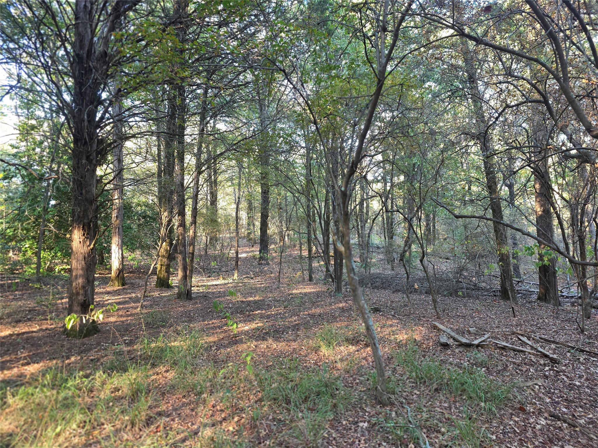 Lot 466 Cr-4710 Larue TX 75770