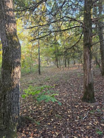 Lot 466 Cr-4710 Larue TX 75770