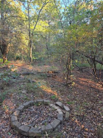 Lot 466 Cr-4710 Larue TX 75770