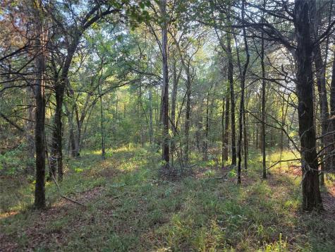 Lot 466 Cr-4710 Larue TX 75770