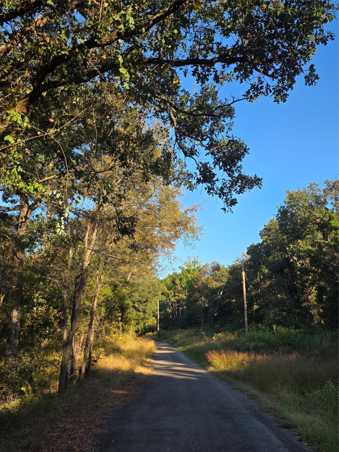 Lot 466 Cr-4710 Larue TX 75770