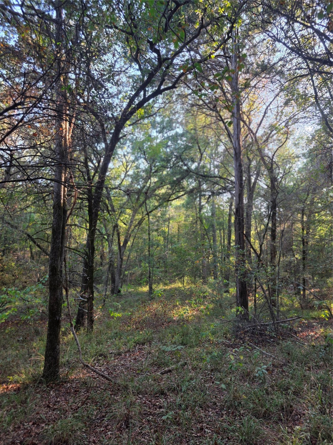 Lot 466 Cr-4710 Larue TX 75770