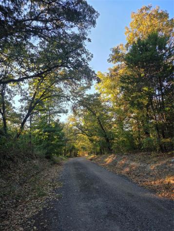 Lot 466 Cr-4710 Larue TX 75770