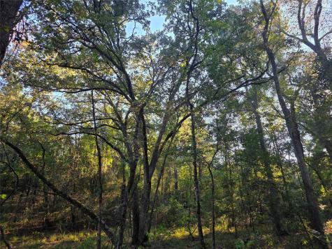 Lot 466 Cr-4710 Larue TX 75770