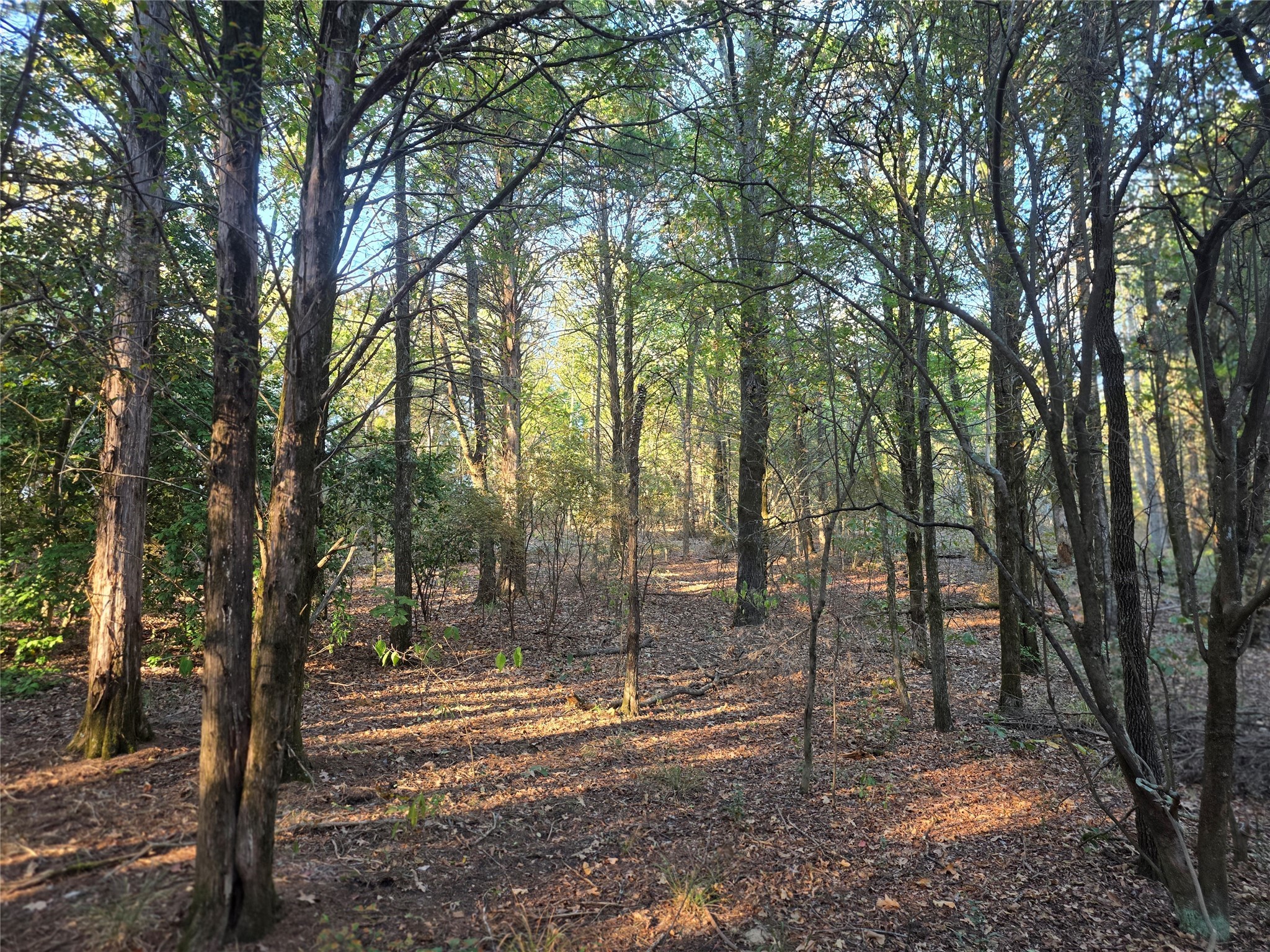 Lot 466 Cr-4710 Larue TX 75770