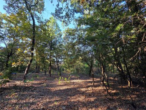 Lot 466 Cr-4710 Larue TX 75770
