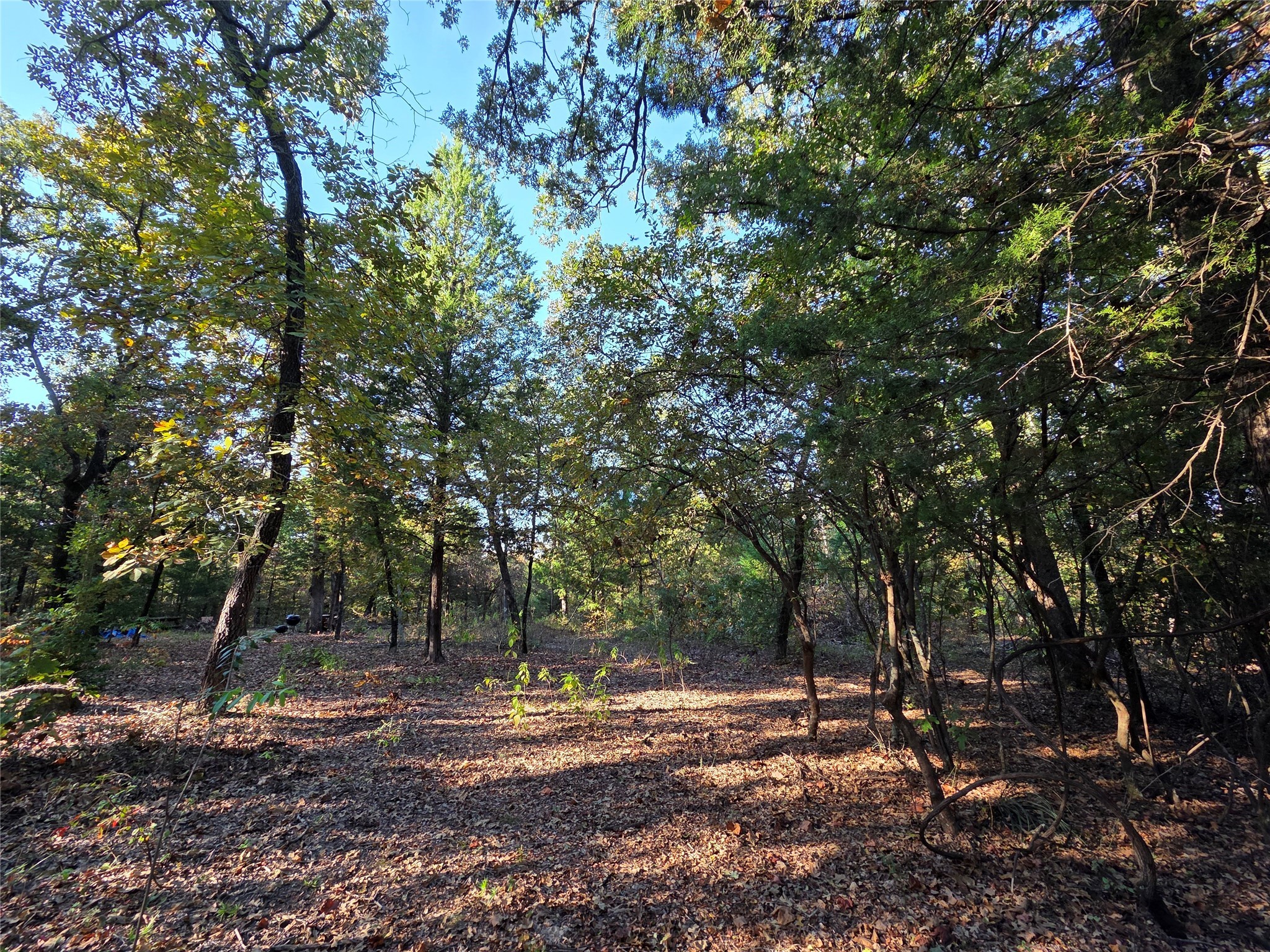 Lot 466 Cr-4710 Larue TX 75770