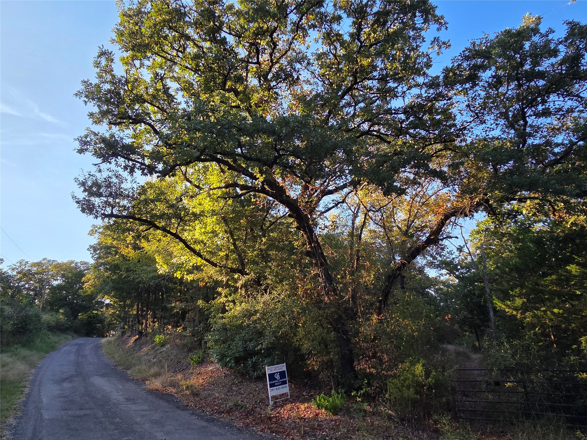 Lot 466 Cr-4710 Larue TX 75770
