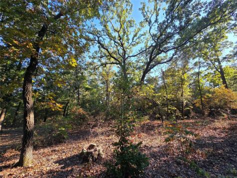 Lot 466 Cr-4710 Larue TX 75770