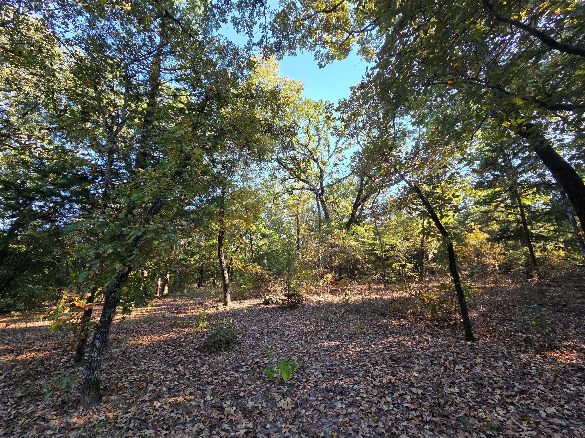 Lot 466 Cr-4710 Larue TX 75770