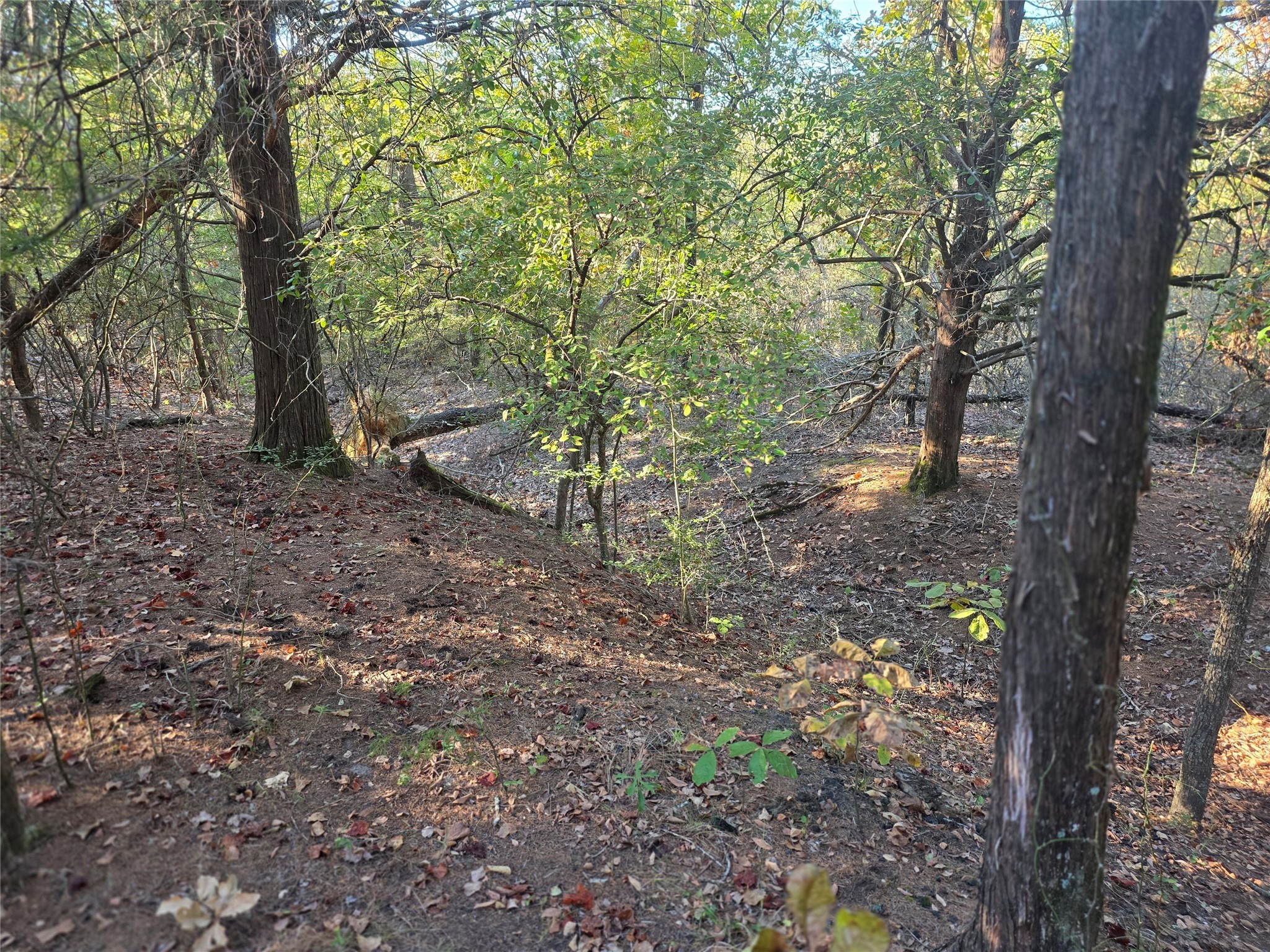 Lot 466 Cr-4710 Larue TX 75770