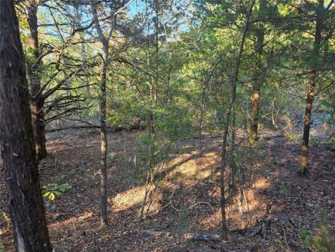 Lot 466 Cr-4710 Larue TX 75770
