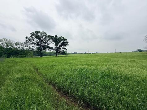 20 Acres Gathings Avenue Covington TX 76636