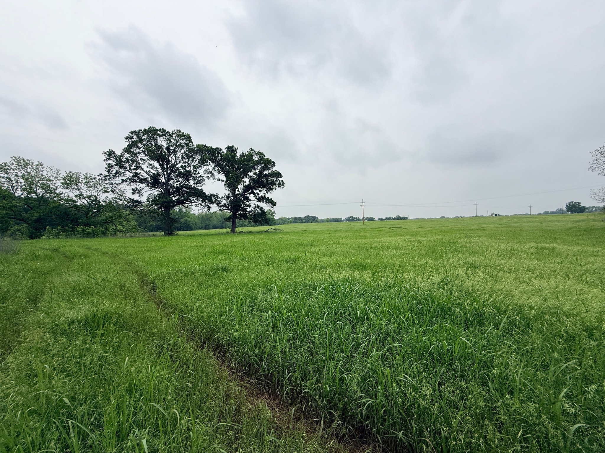 20 Acres Gathings Avenue Covington TX 76636