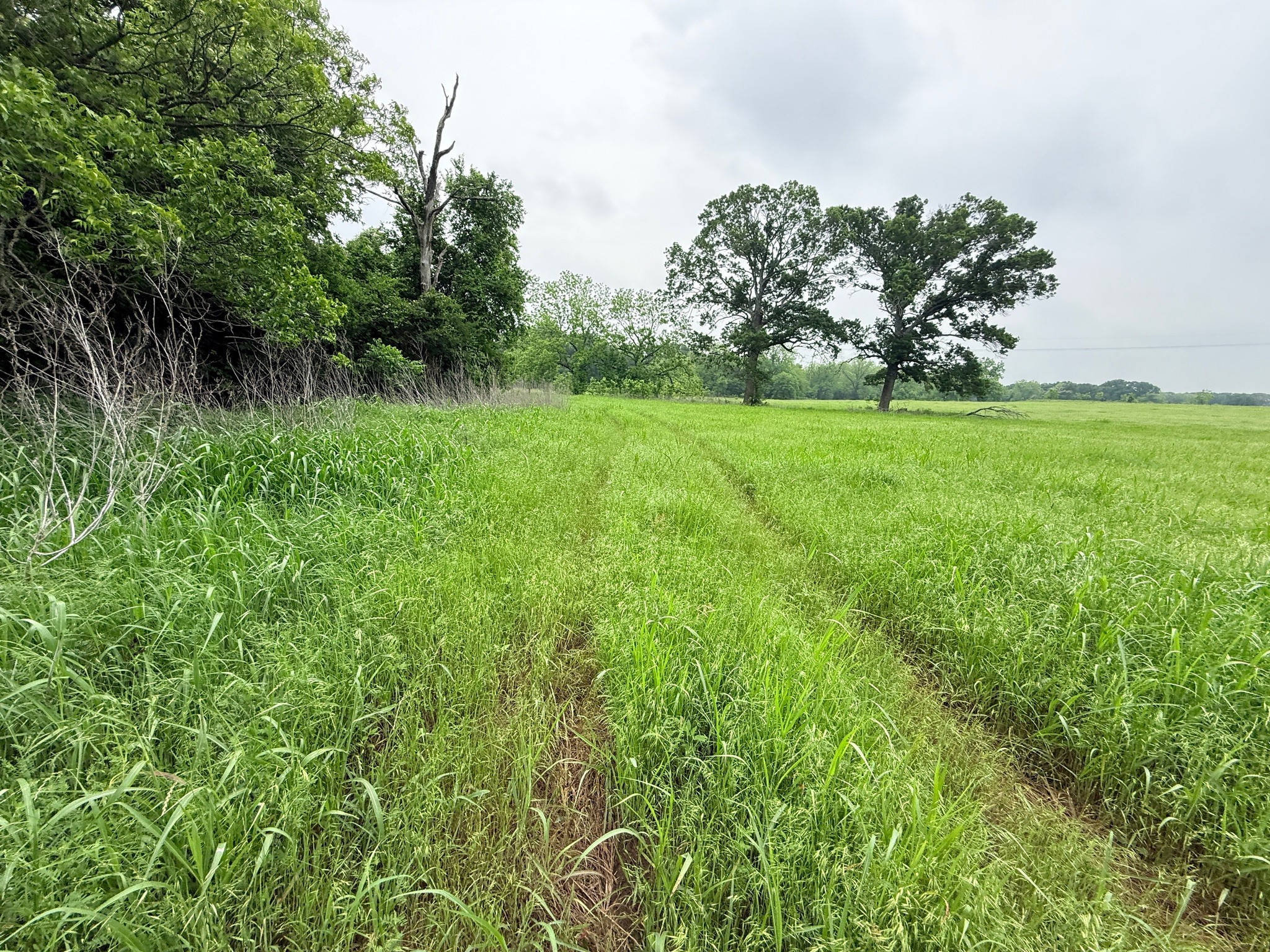 20 Acres Gathings Avenue Covington TX 76636