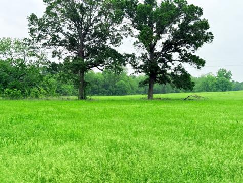 20 Acres Gathings Avenue Covington TX 76636