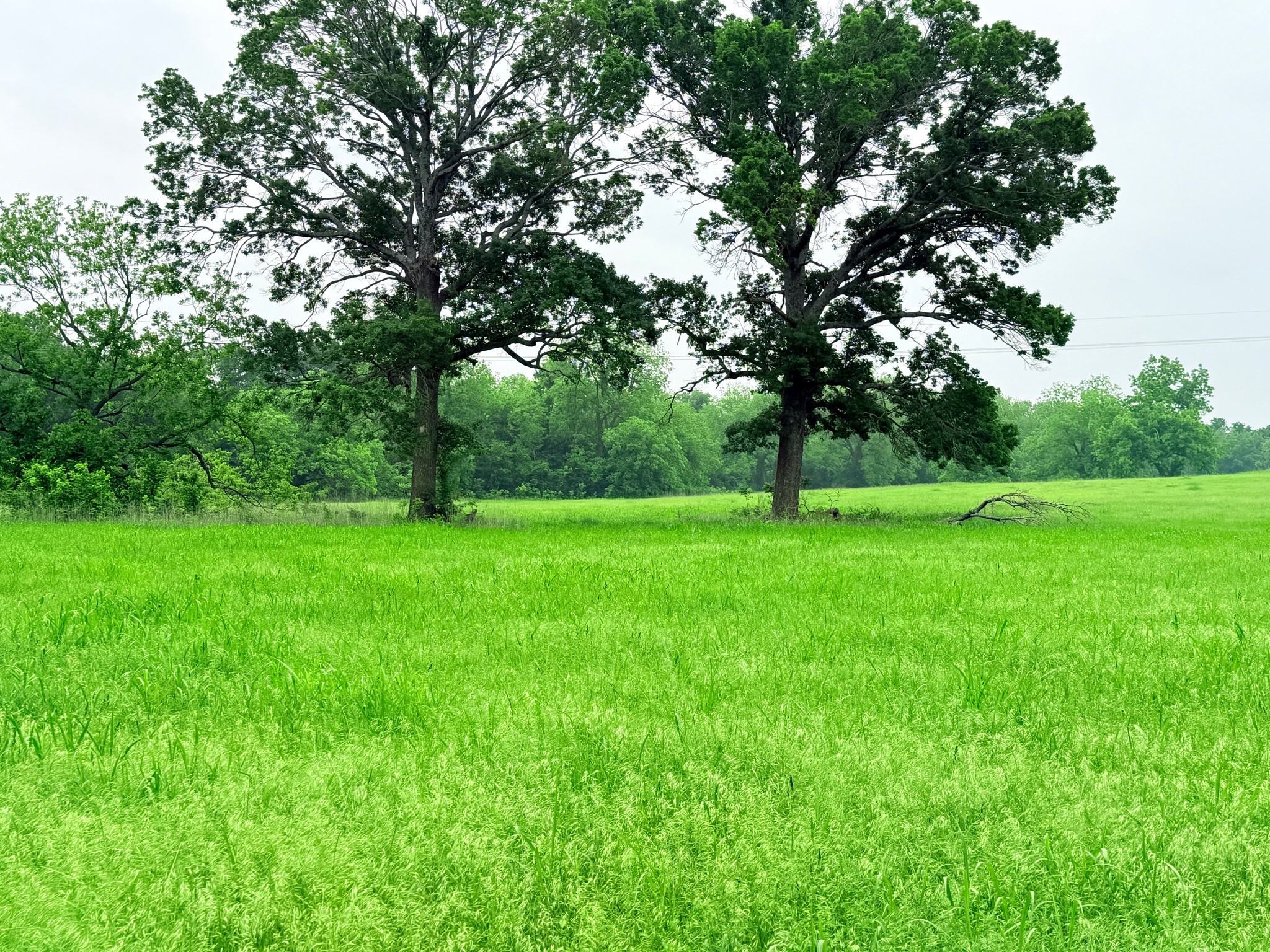 20 Acres Gathings Avenue Covington TX 76636