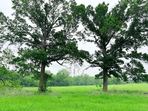 20 Acres Gathings Avenue Covington TX 76636