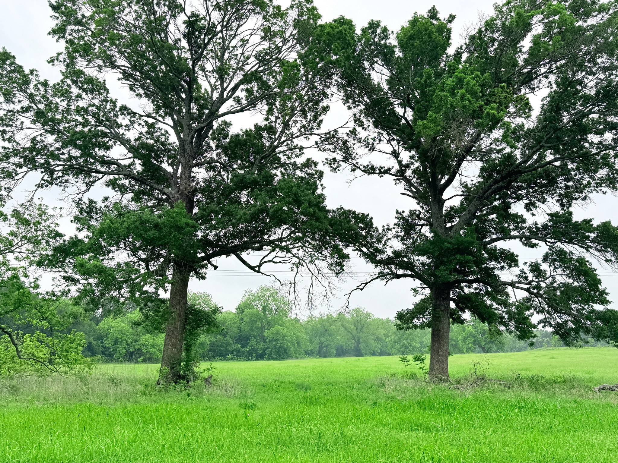 20 Acres Gathings Avenue Covington TX 76636