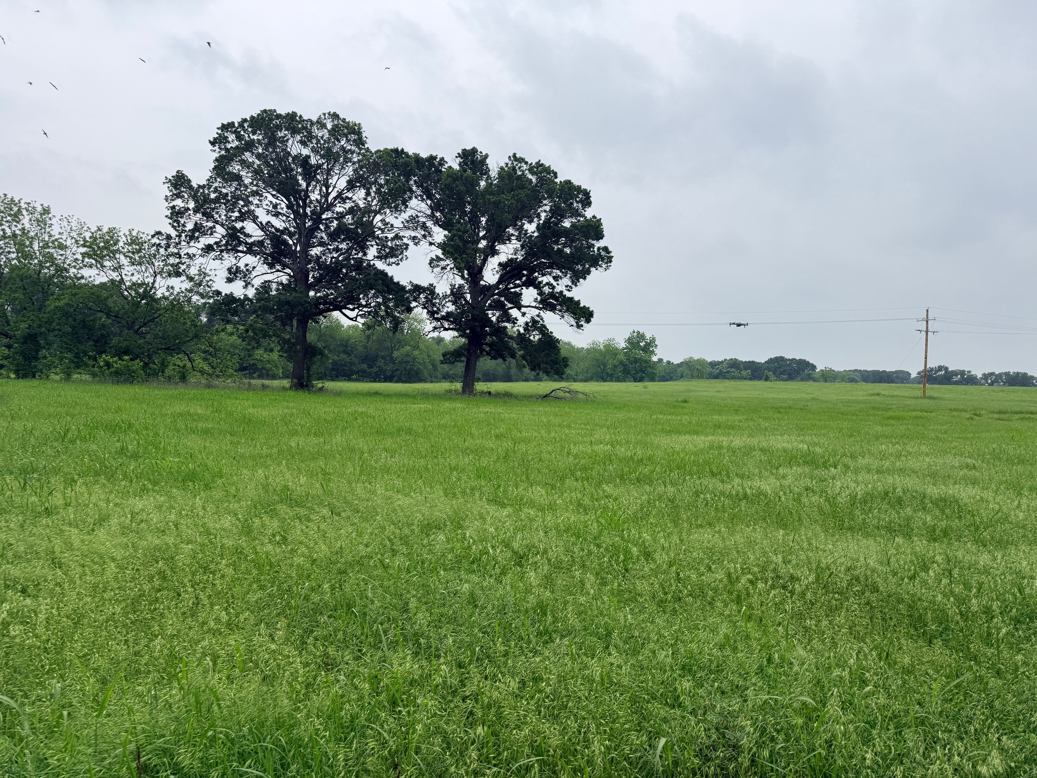 20 Acres Gathings Avenue Covington TX 76636