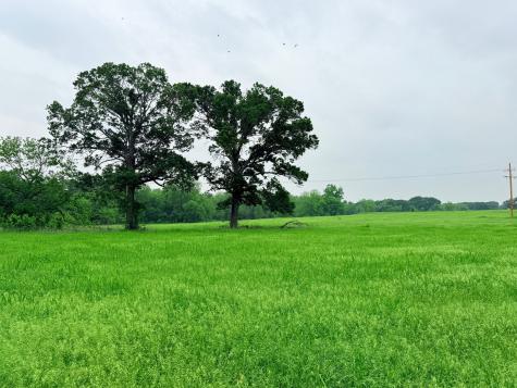 20 Acres Gathings Avenue Covington TX 76636
