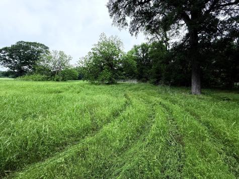 20 Acres Gathings Avenue Covington TX 76636