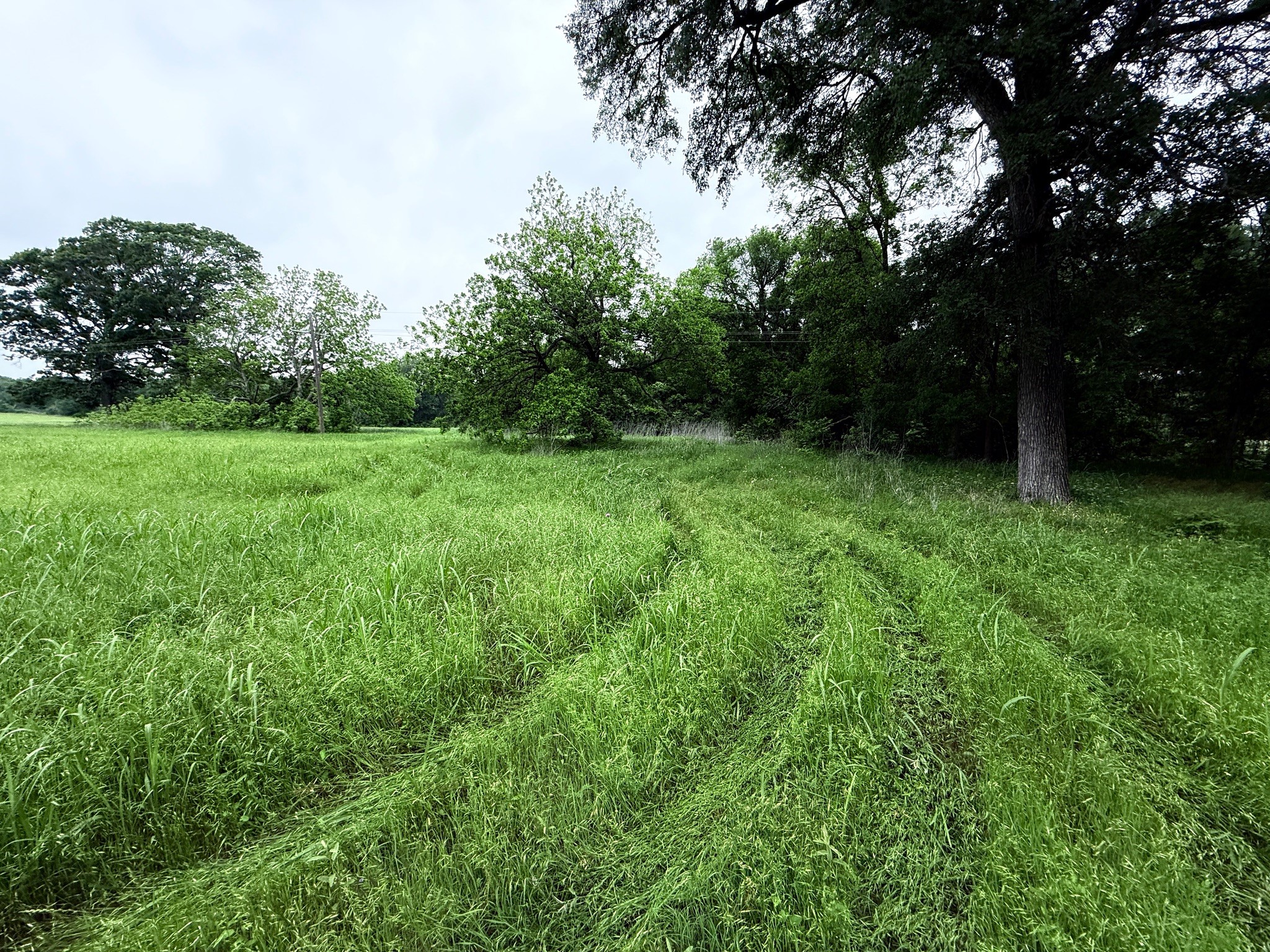 20 Acres Gathings Avenue Covington TX 76636