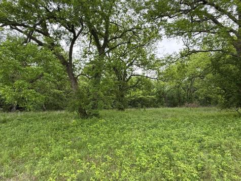 20 Acres Gathings Avenue Covington TX 76636