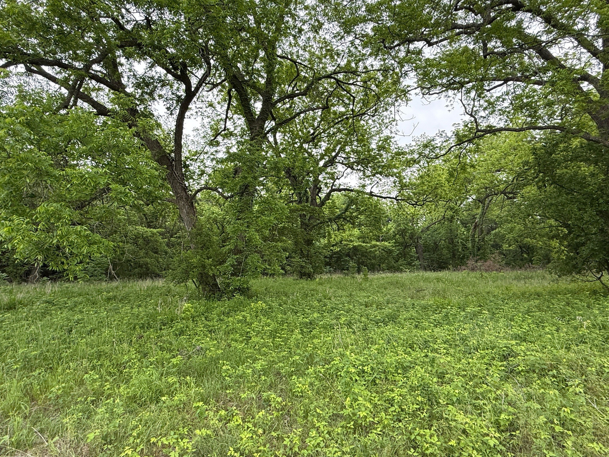 20 Acres Gathings Avenue Covington TX 76636