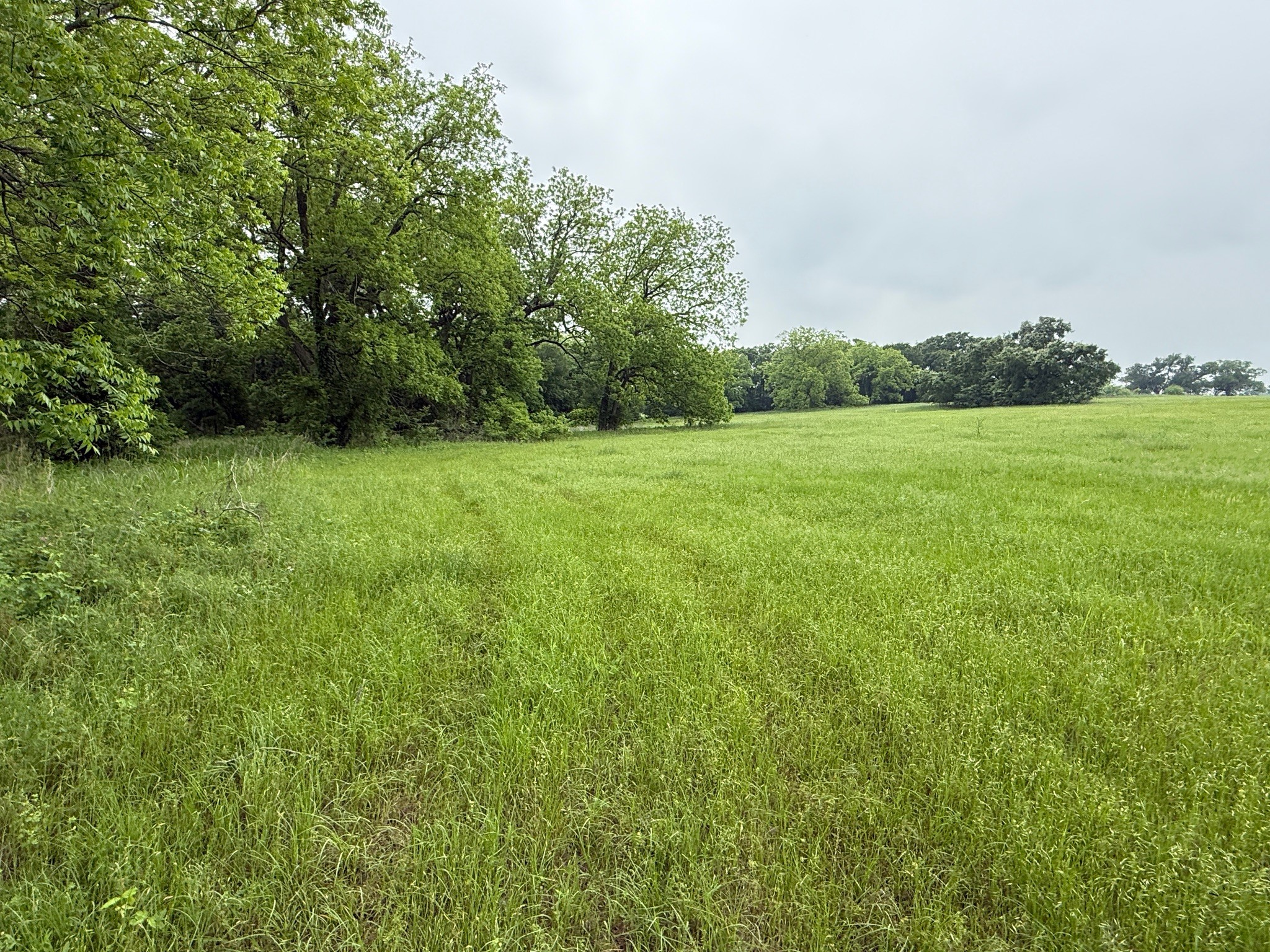 20 Acres Gathings Avenue Covington TX 76636