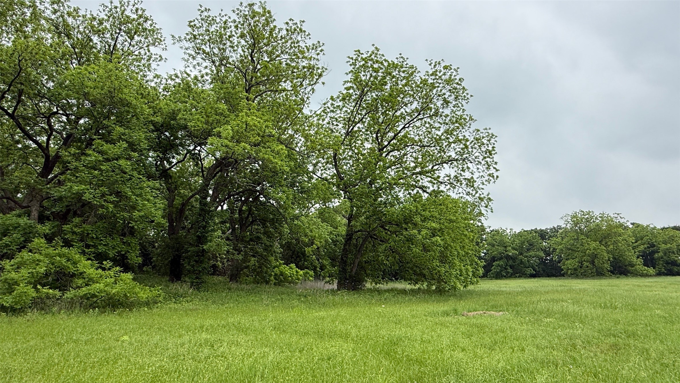 20 Acres Gathings Avenue Covington TX 76636