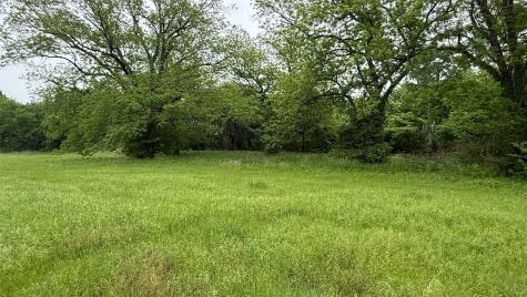 20 Acres Gathings Avenue Covington TX 76636