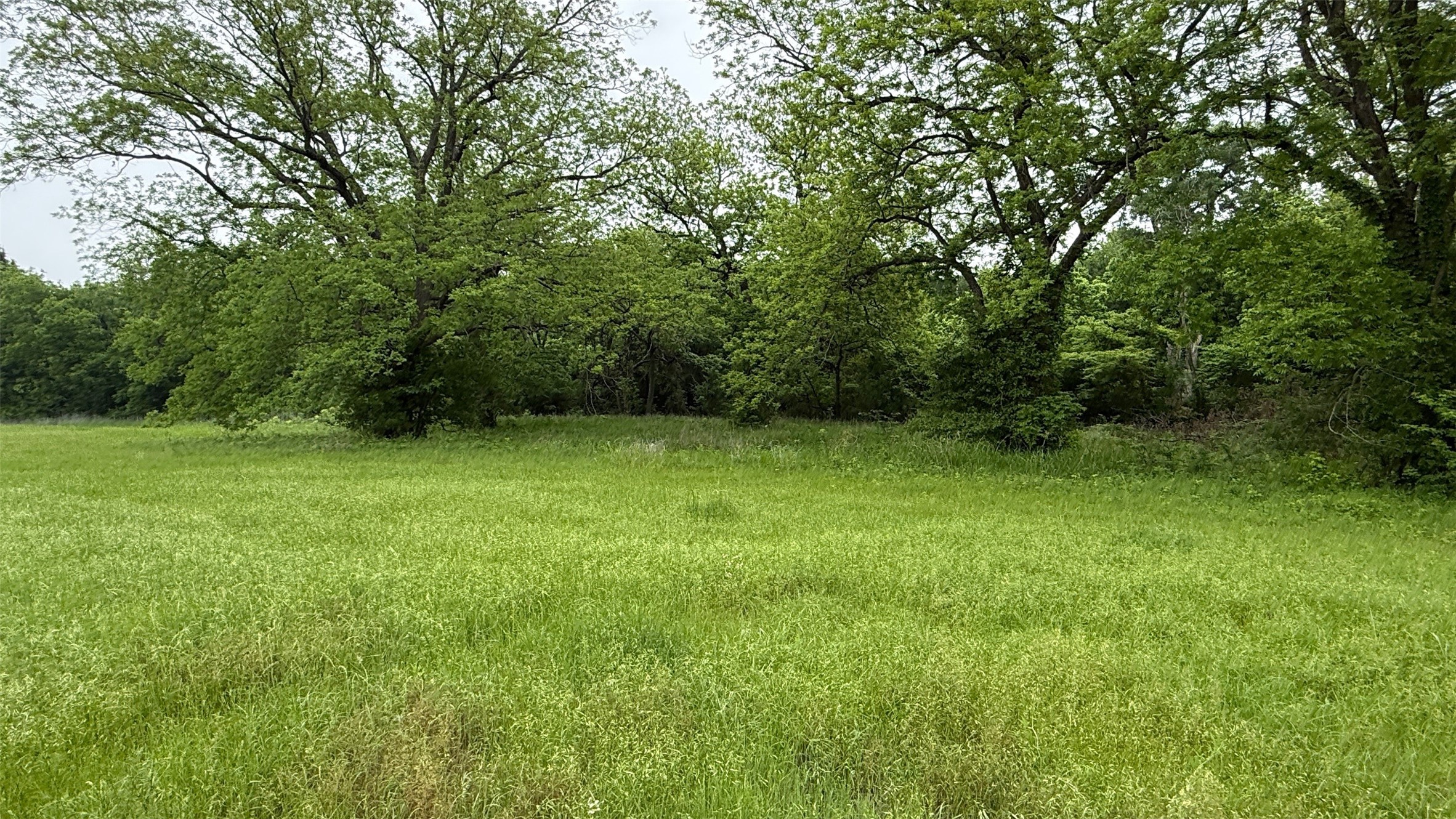 20 Acres Gathings Avenue Covington TX 76636