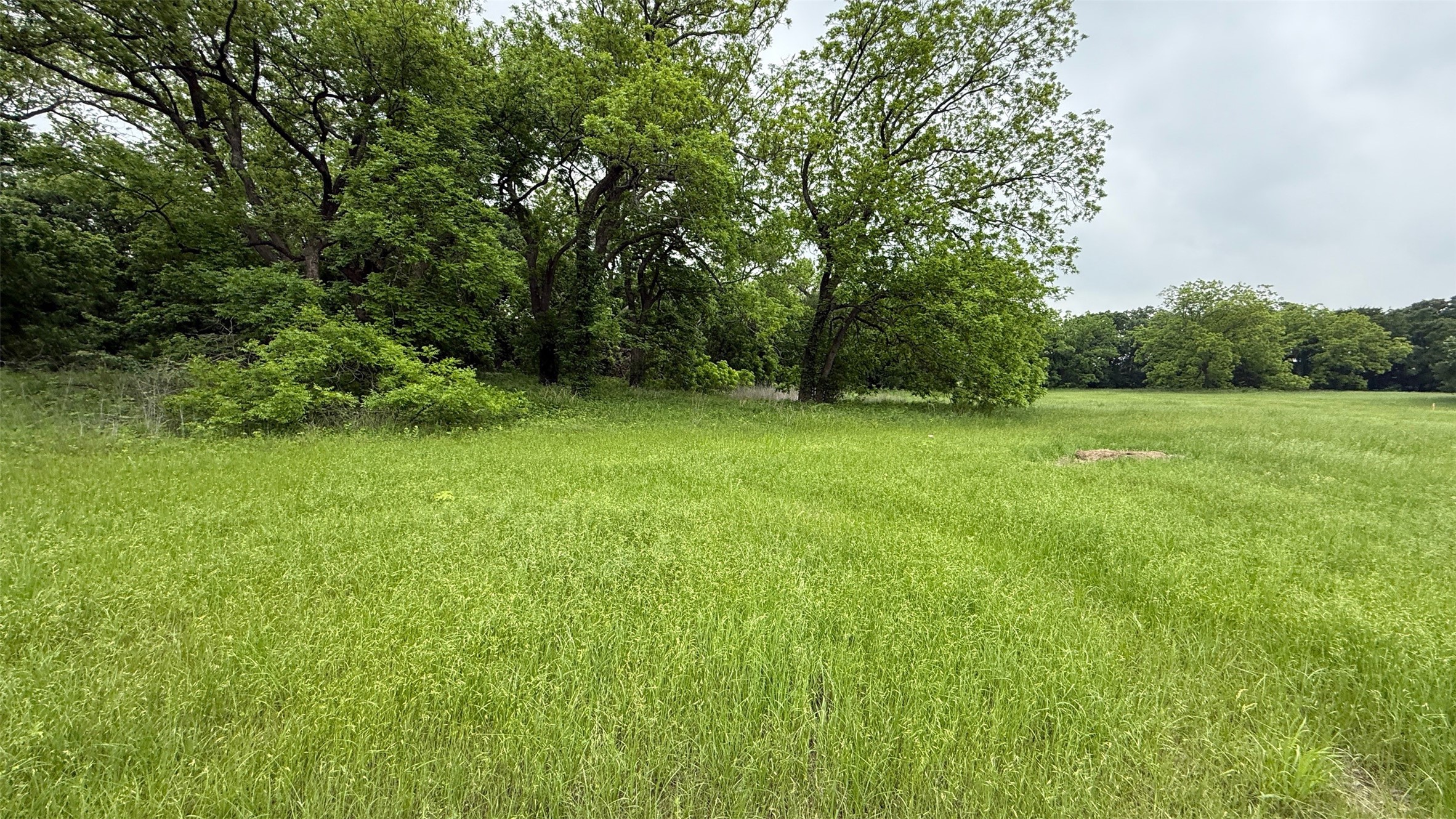 20 Acres Gathings Avenue Covington TX 76636