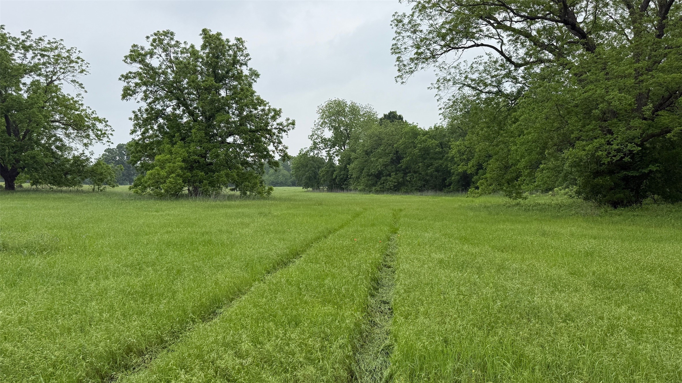 20 Acres Gathings Avenue Covington TX 76636